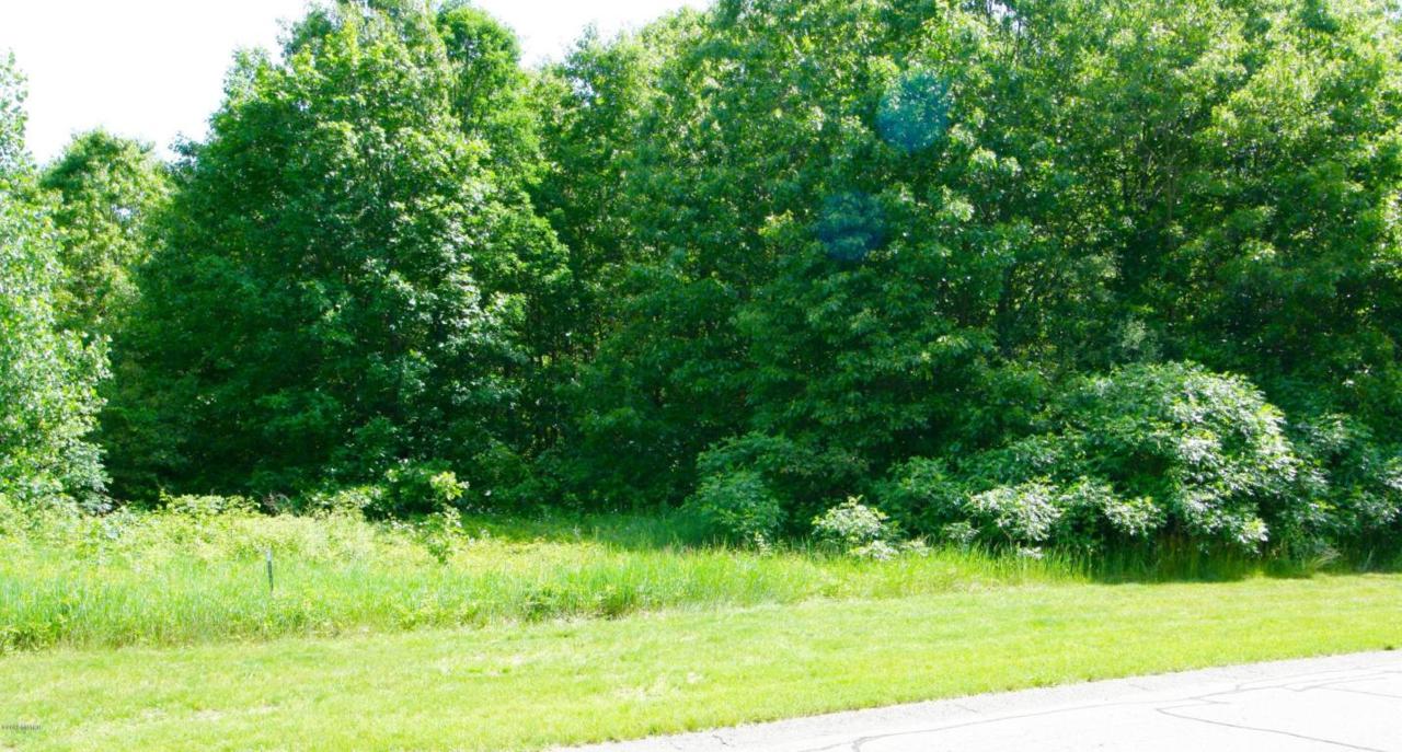9860 Grape Ridge #17 - Photo 1