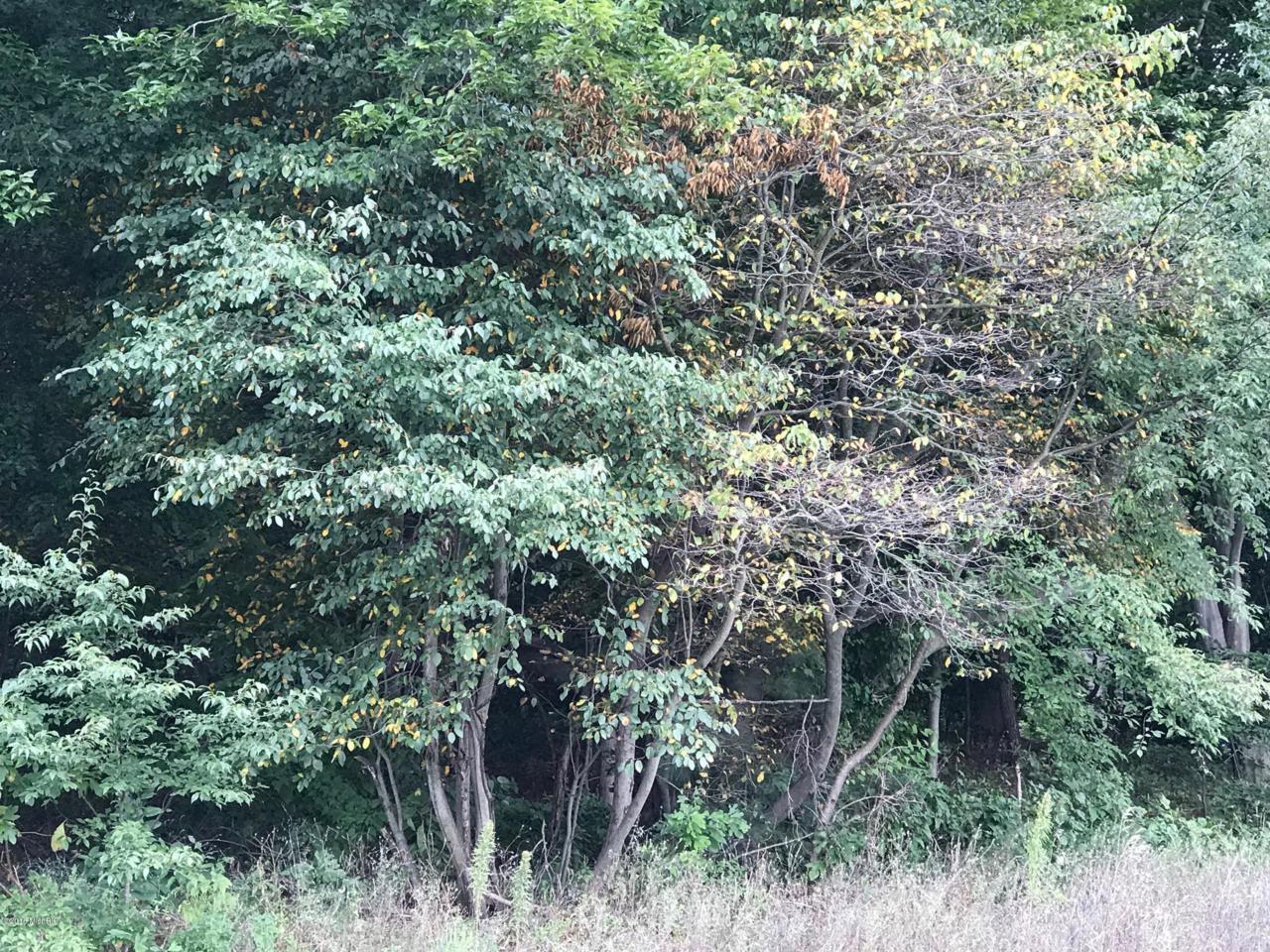 3786 Black Creek Road - Photo 1
