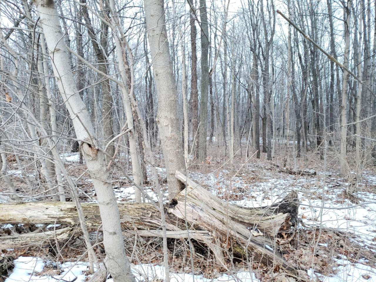https://bt-photos.global.ssl.fastly.net/swmich/1280_boomver_2_19004490-2.jpg