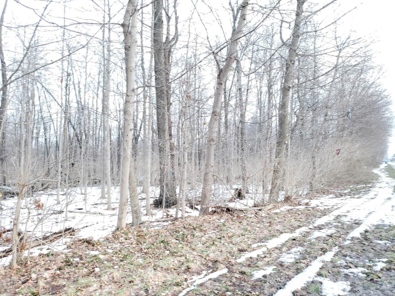 https://bt-photos.global.ssl.fastly.net/swmich/1280_boomver_2_19004490-2.jpg