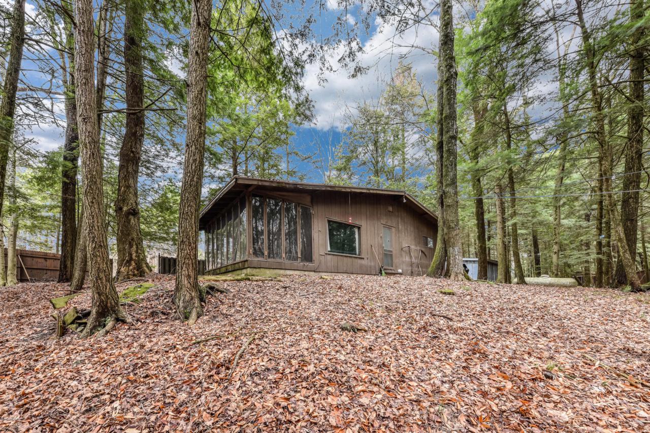 20217 12 Mile Road - Photo 1