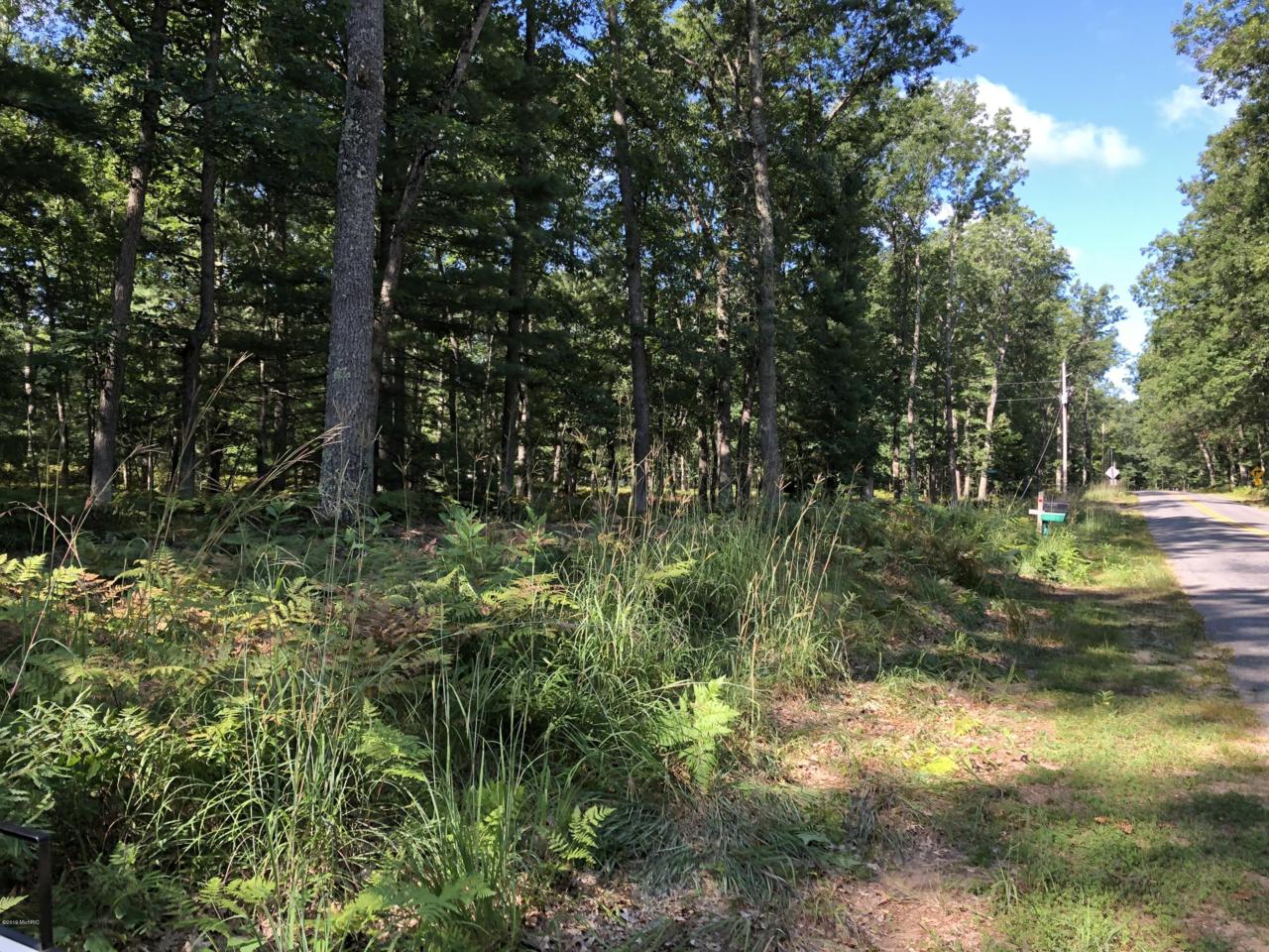 0 Star Lake Drive - Photo 1