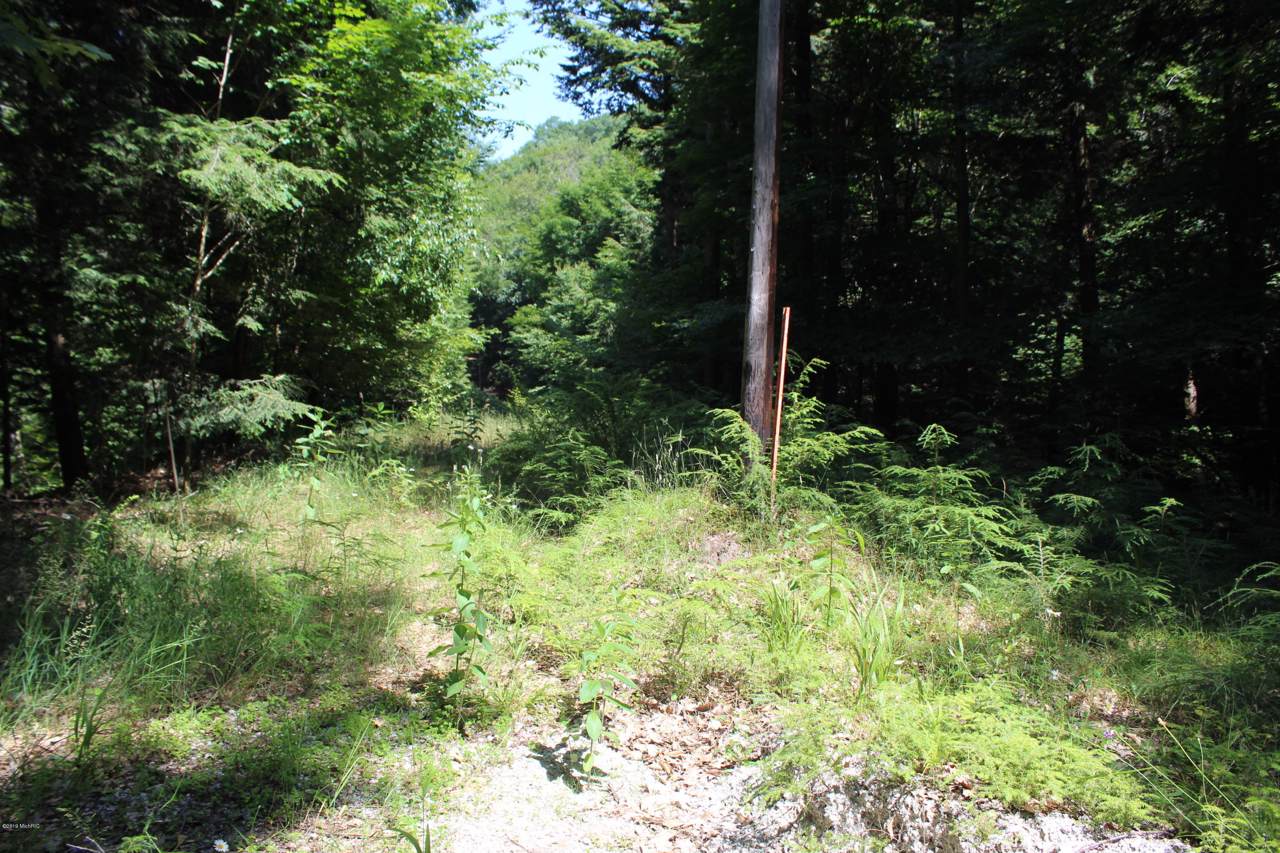 0 Dunewood Trail - Photo 1