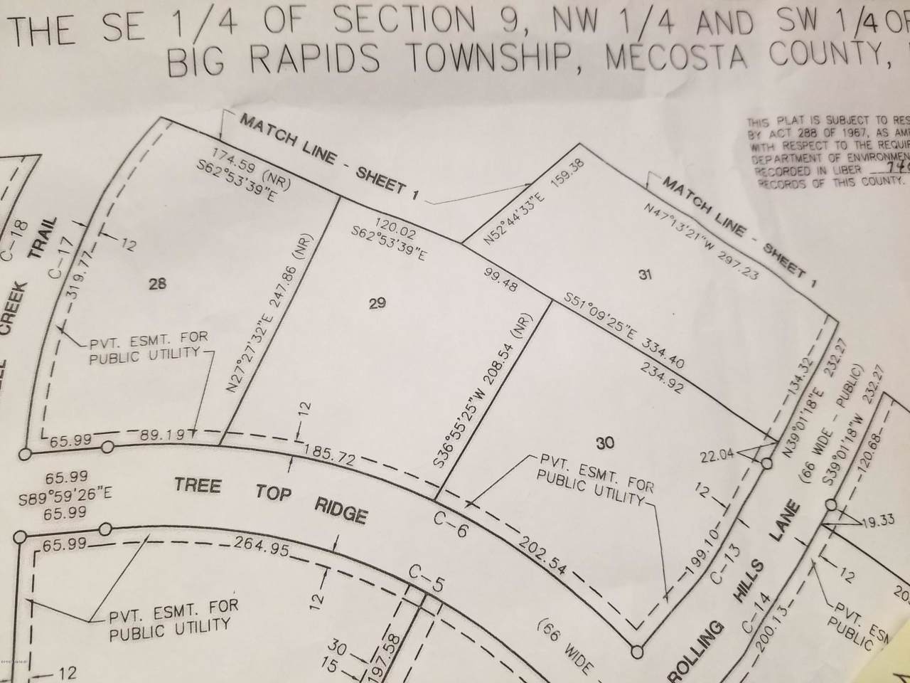 28 Birch Top Ridge/Tree Top - Photo 1