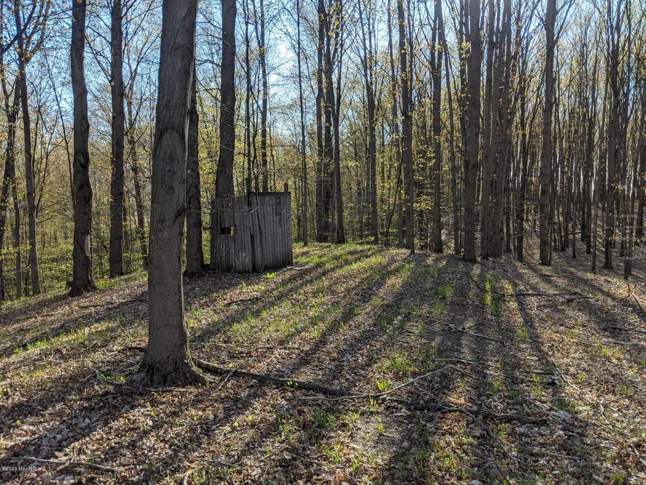 0 56th Avenue - Photo 1