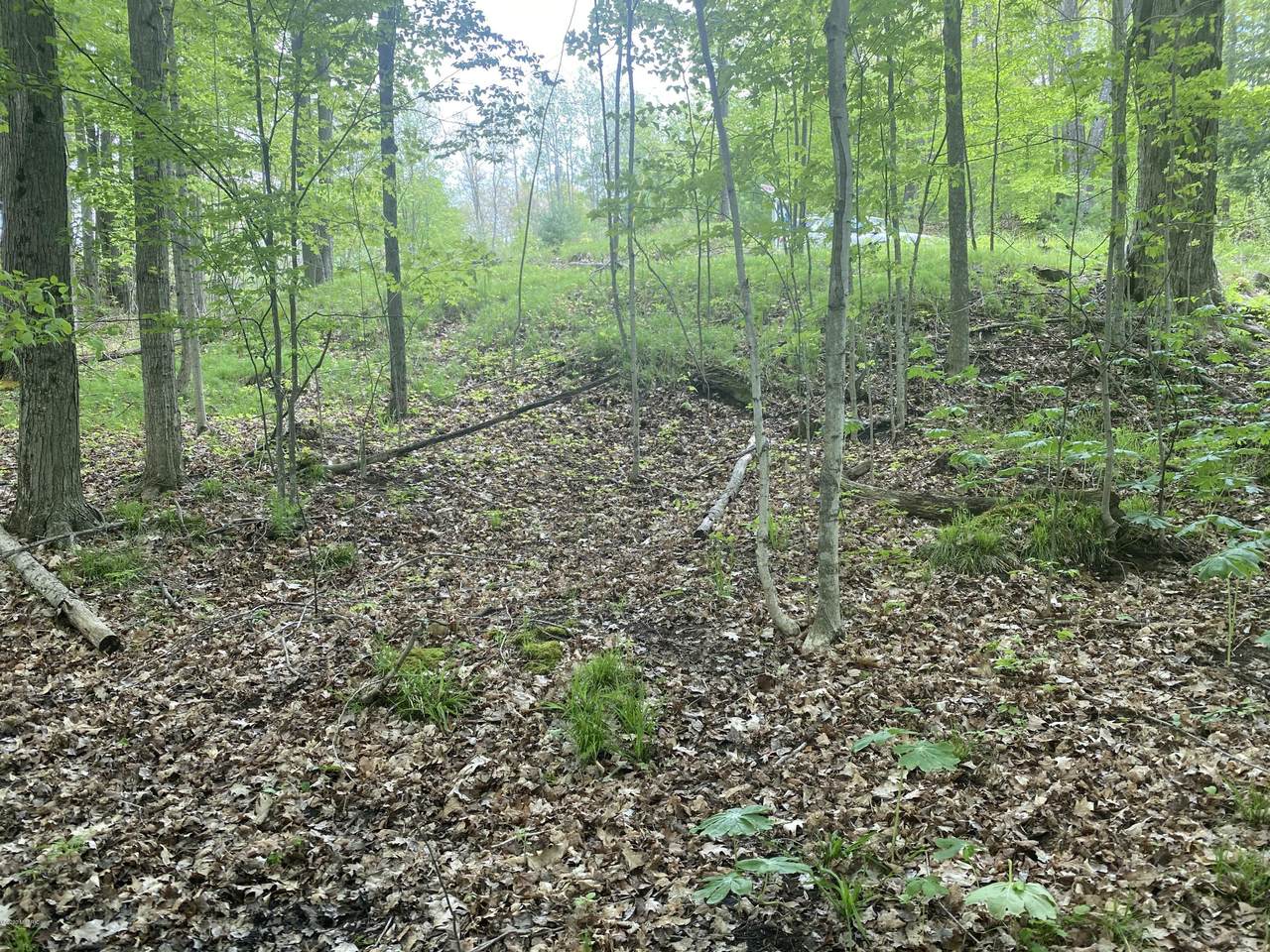 9586 Lure Road - Photo 1