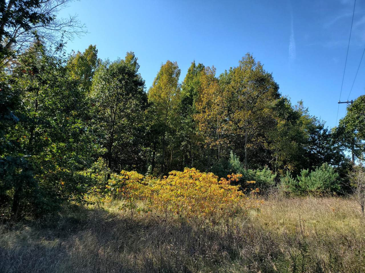0 Vernors Valley - Photo 1