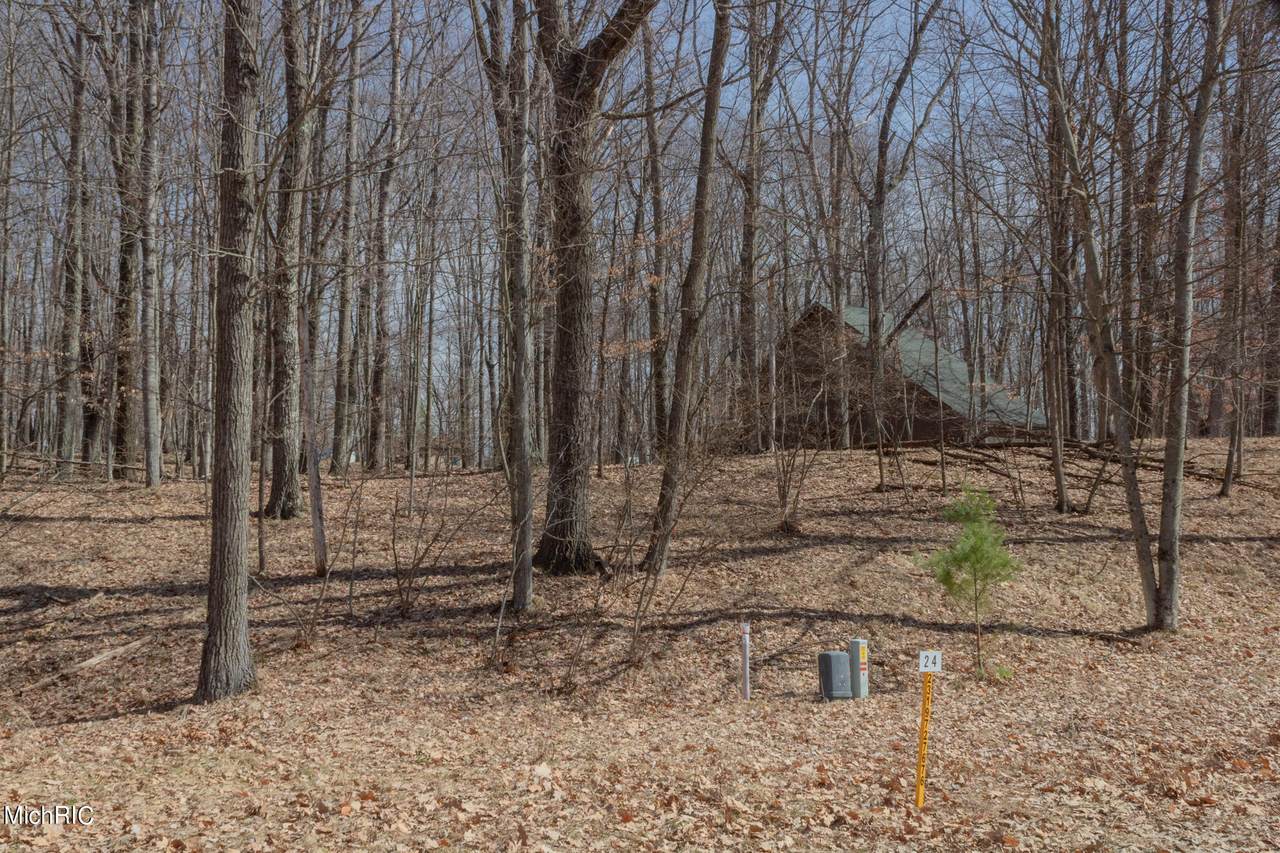 9924 Briarstone Drive #24 - Photo 1