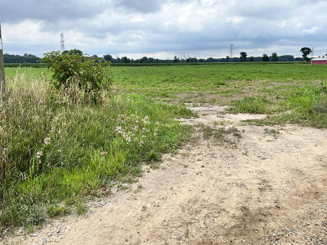 6876-A 80th Avenue - Photo 1