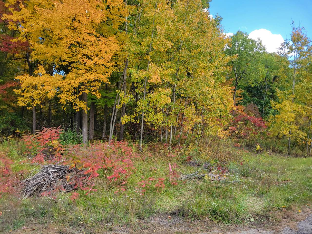 74016 Ridgeway Drive - Photo 1