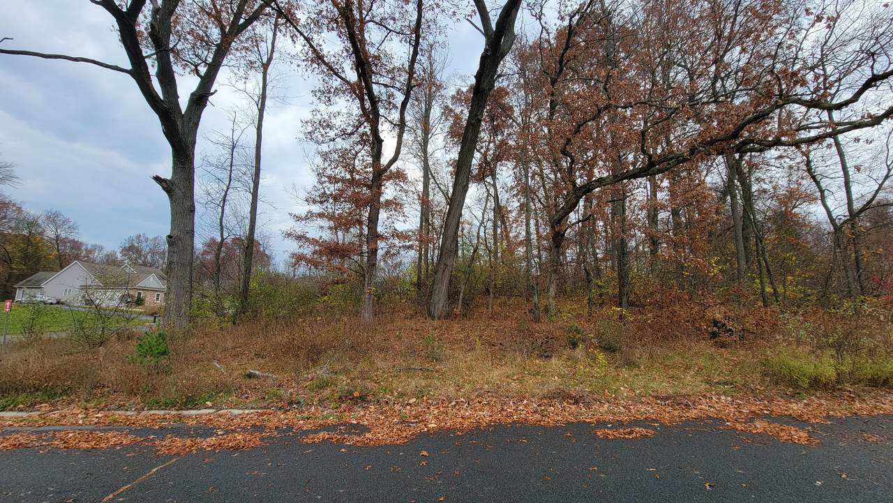 5251 Shane Street - Photo 1