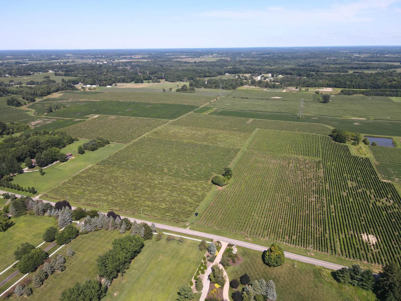 V/L Eidson Road - Photo 1