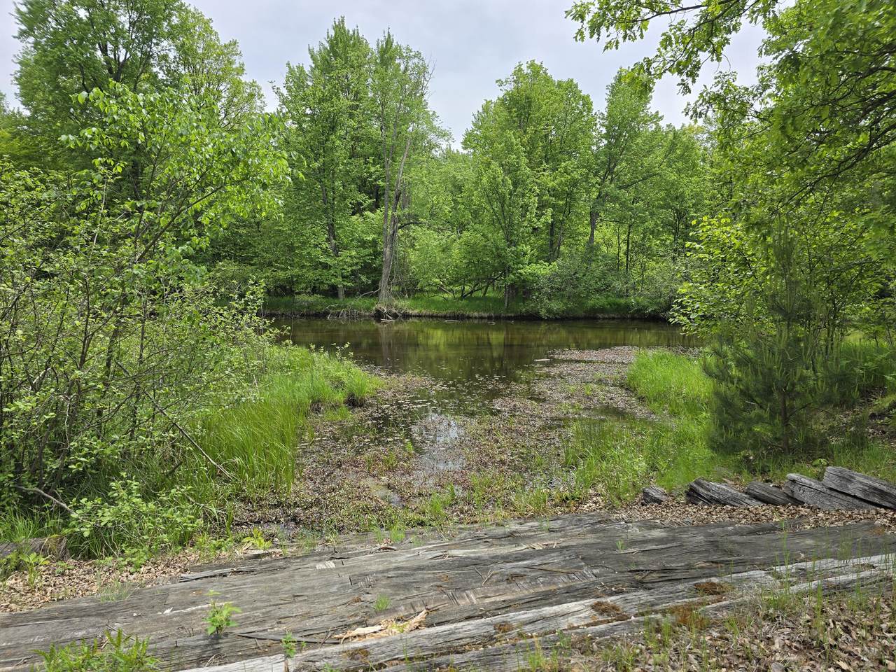 6143 Cedar Trace - Photo 1