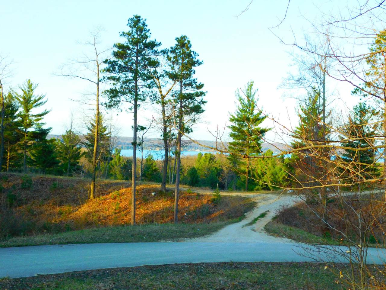  Indigo Trail - Photo 1