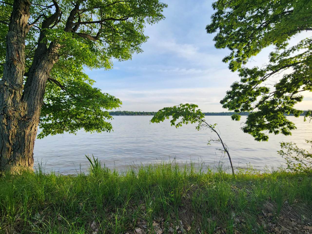 11156 Shore Drive - Photo 1