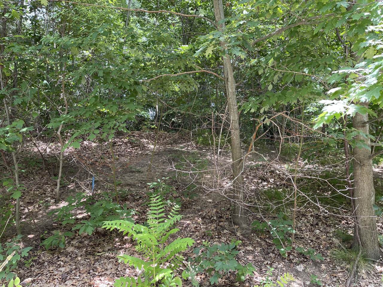 9435 Kramer Drive - Photo 1