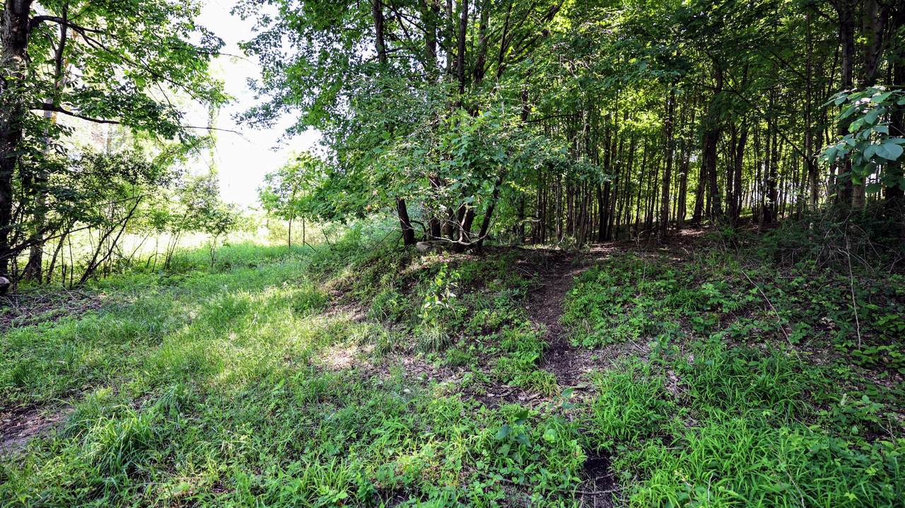 VL Round Lake Rd - Photo 1