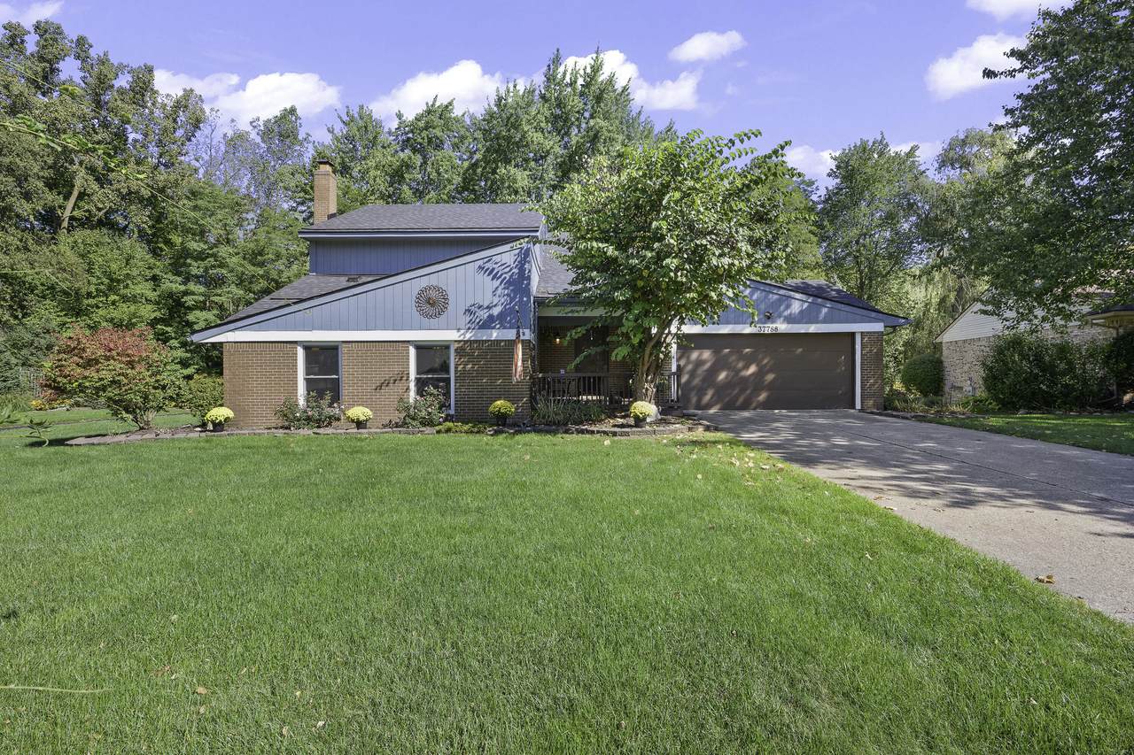 37788 Hollyhead Drive - Photo 1