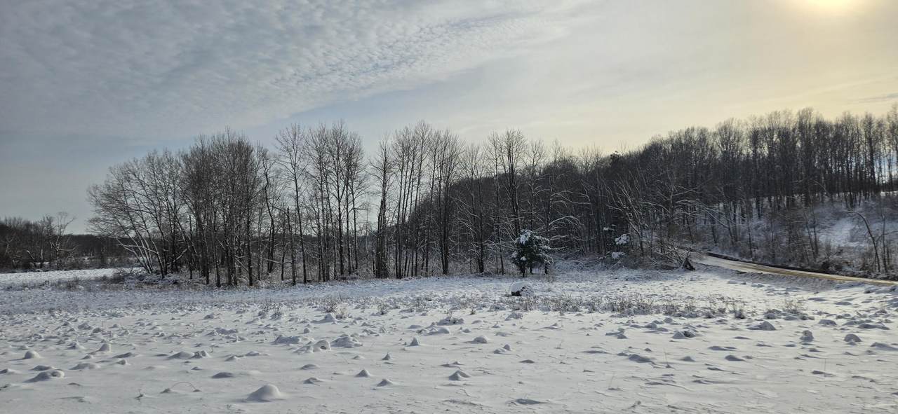 V/L Arthur Road - Photo 1