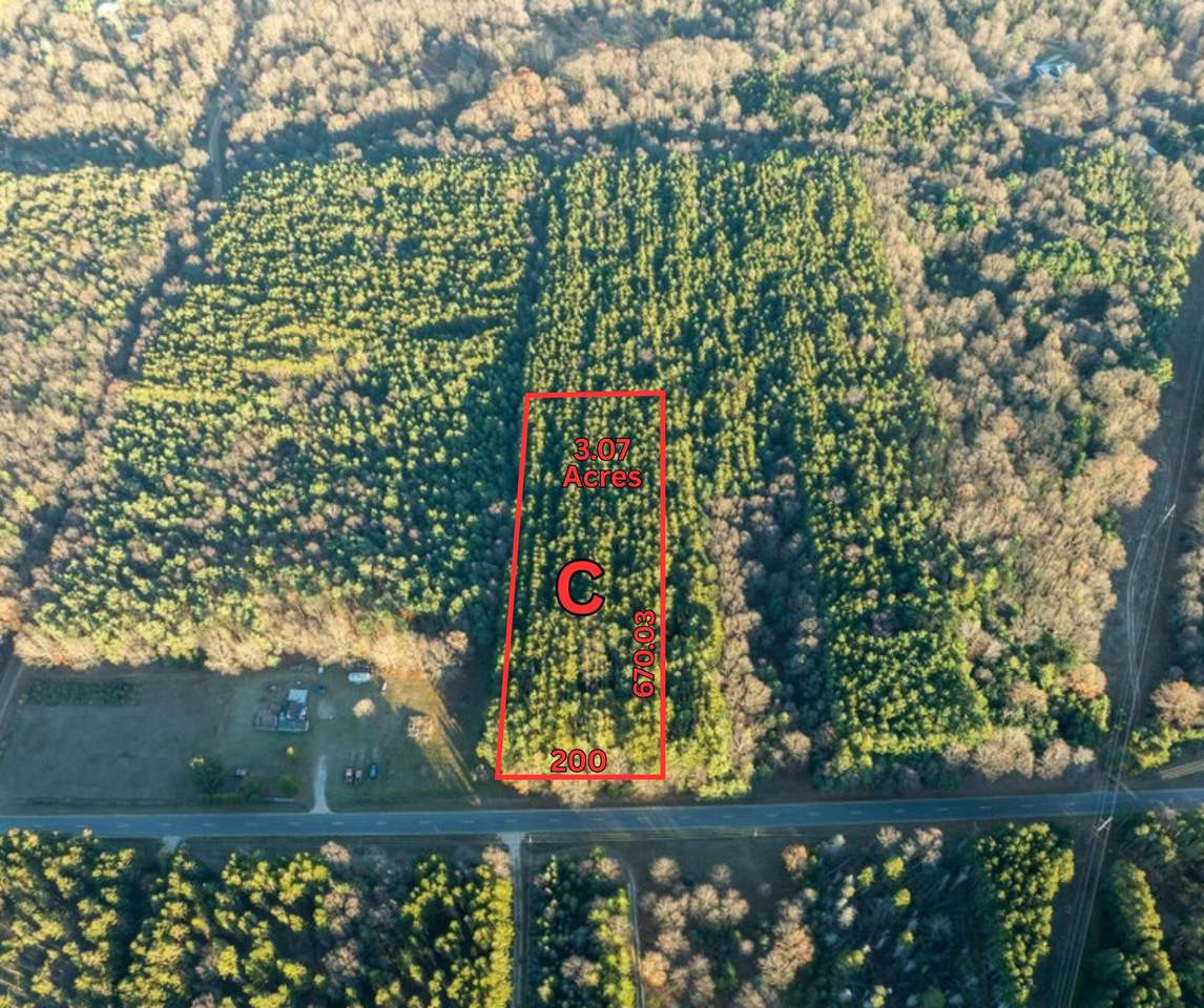 Parcel C 52nd Avenue - Photo 1