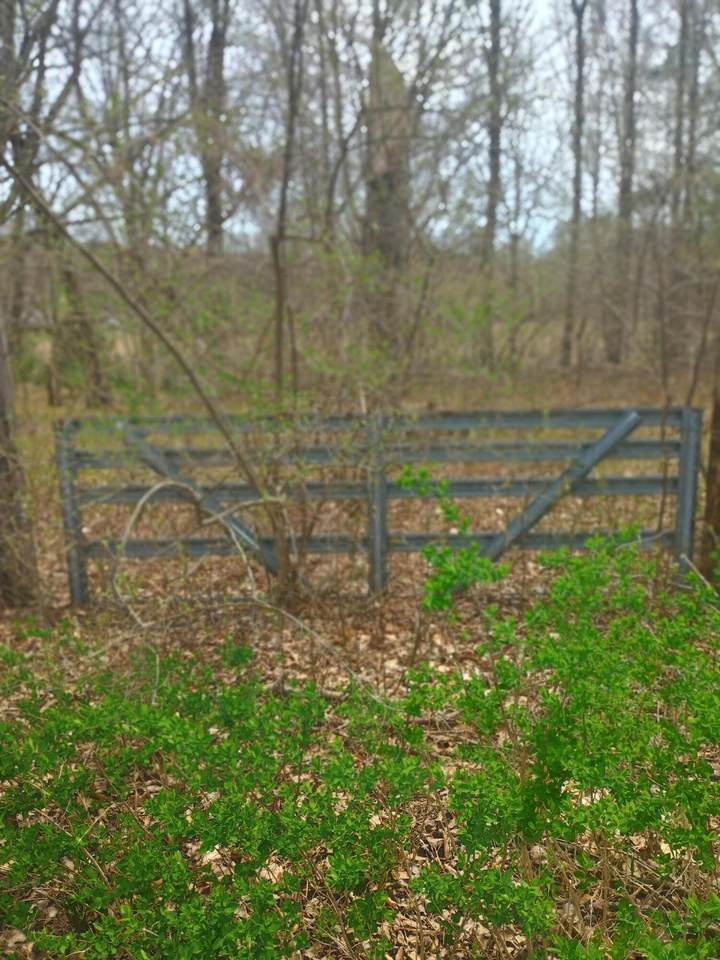 000 Hungerford Lake Drive - Photo 1