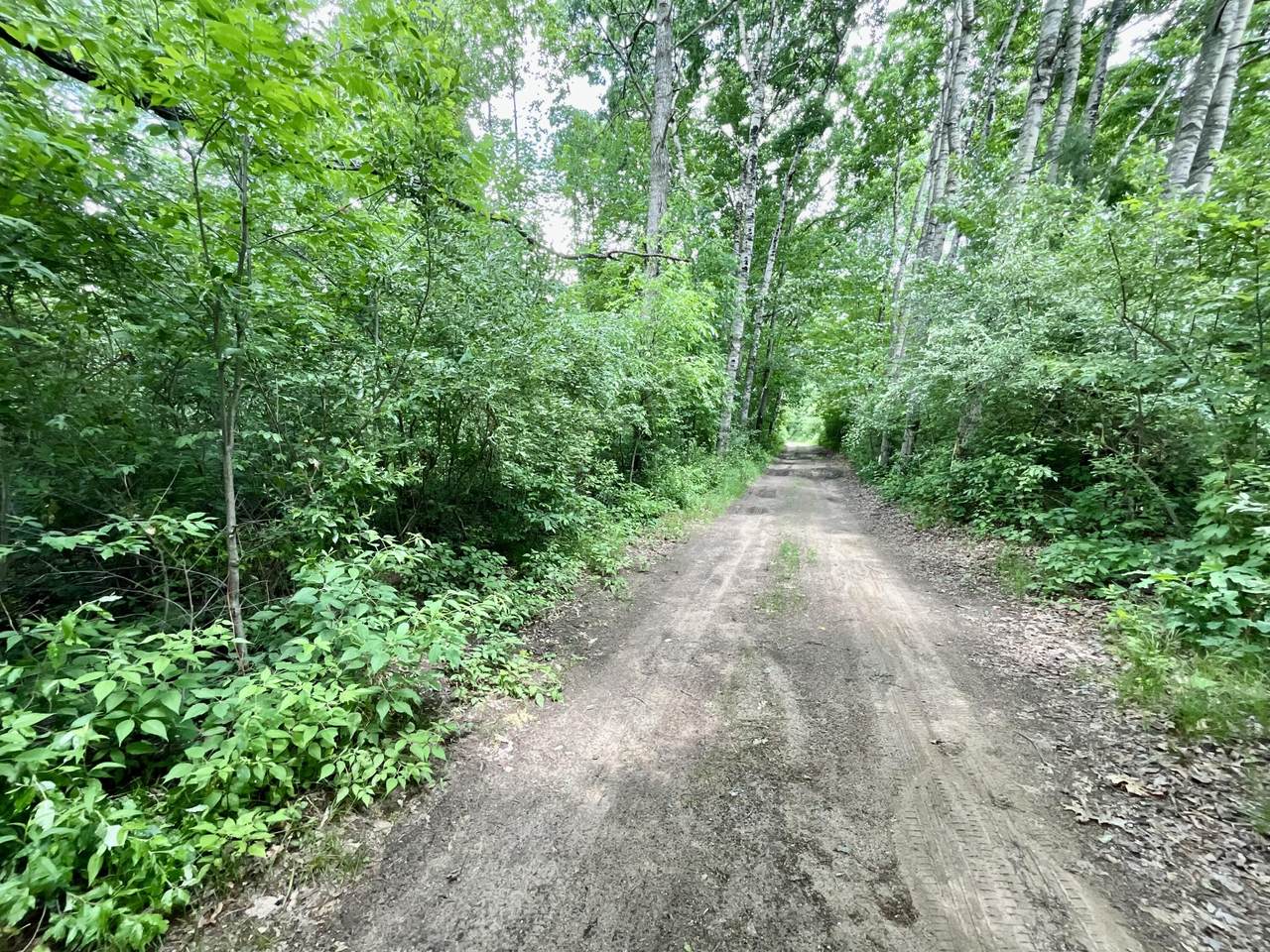 https://bt-photos.global.ssl.fastly.net/swmich/1280_boomver_2_25000701-2.jpg