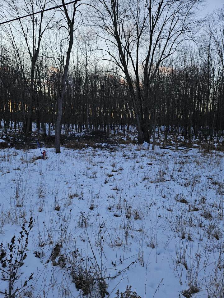 16551 Lehman Avenue - Photo 1