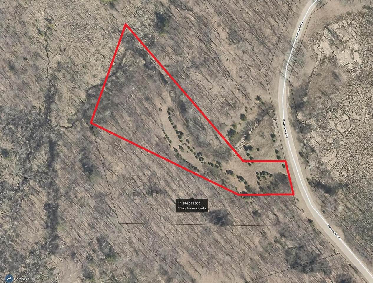 6135 Fawn Lake Drive - Photo 1