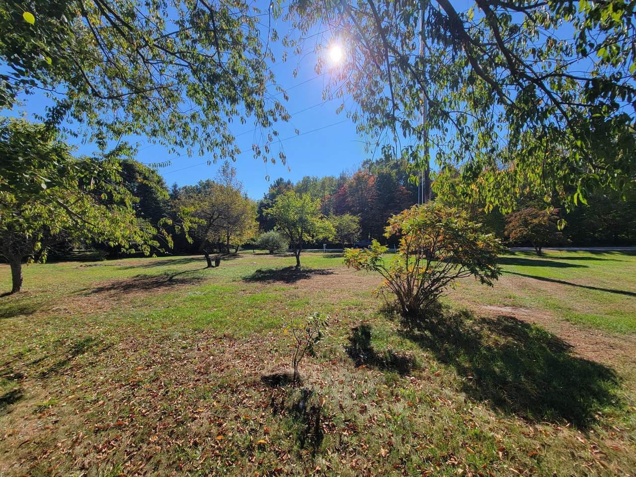 VL Johnson Street - Photo 1