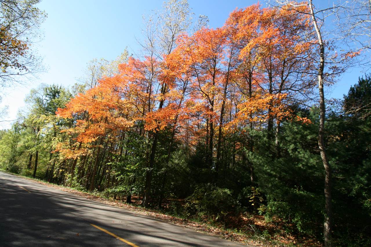 F 70th Street - Photo 1