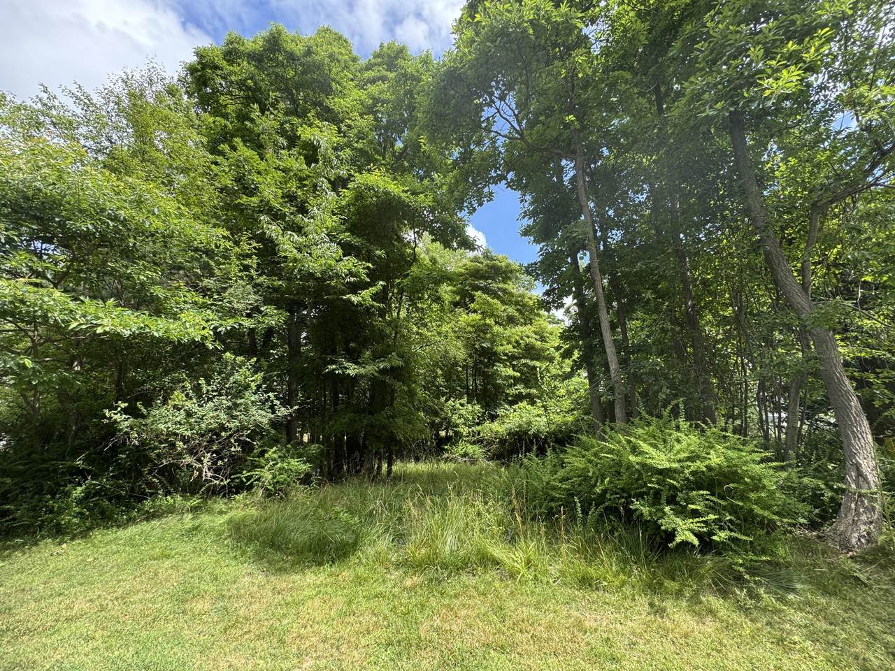 125 Shore Woods - Photo 1