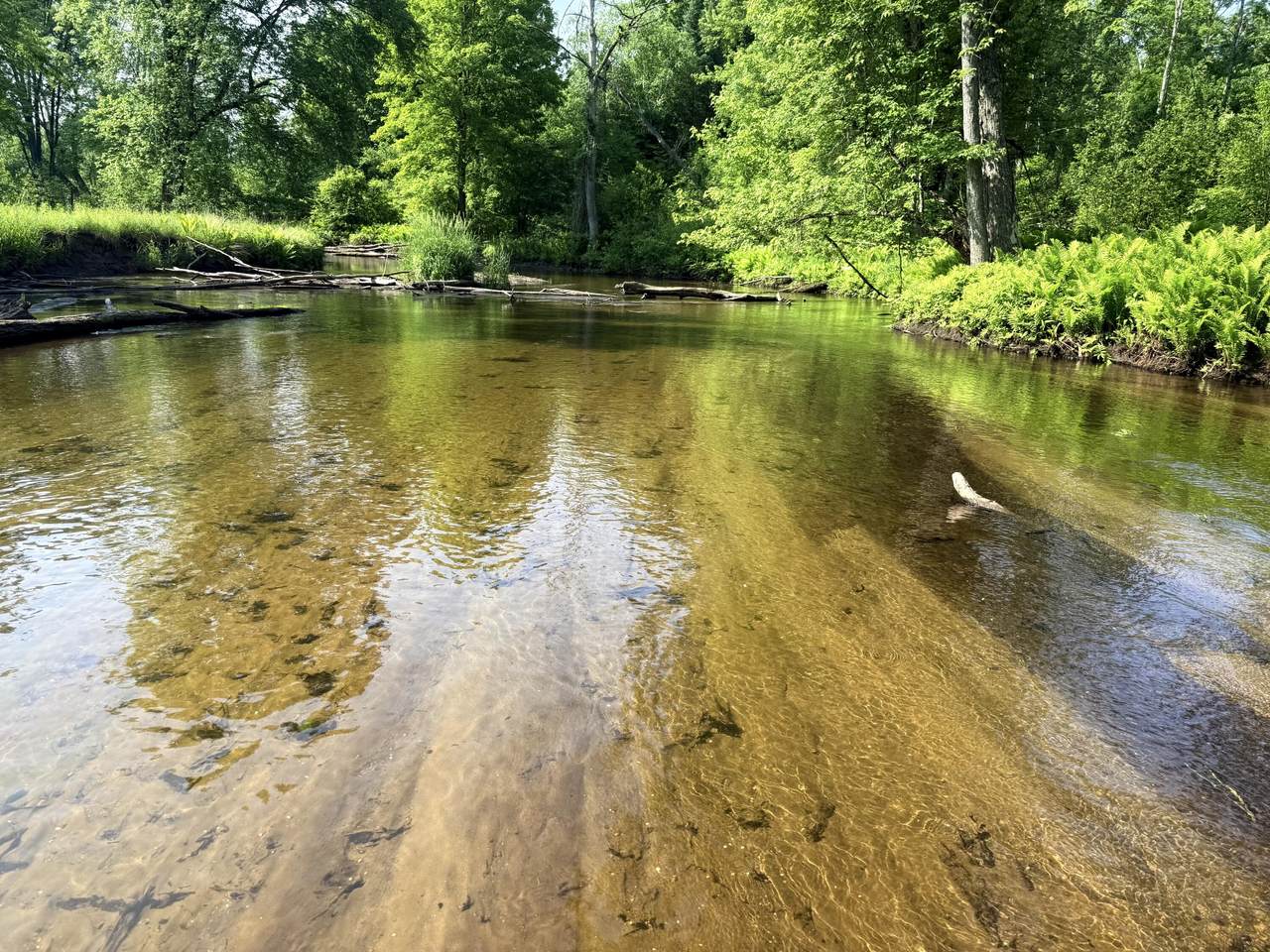 17639 20th Avenue - Photo 1