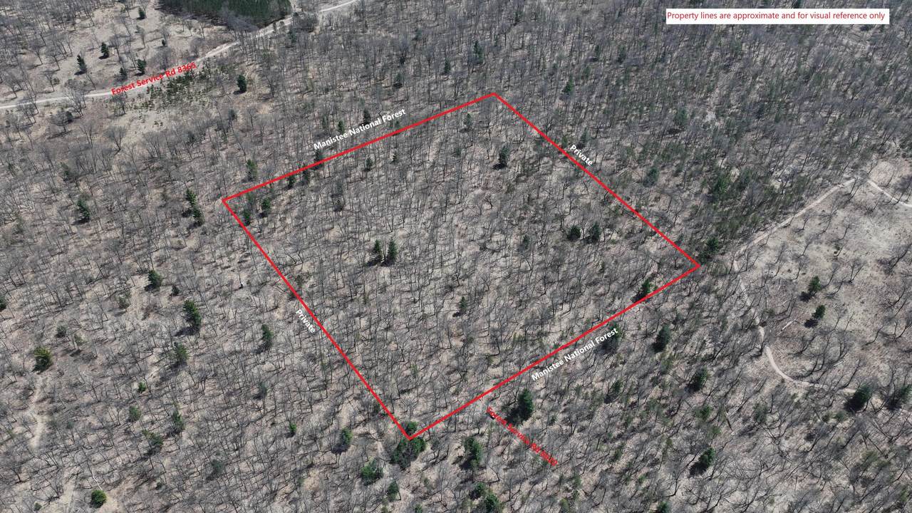 V/L Free Soil - Photo 1