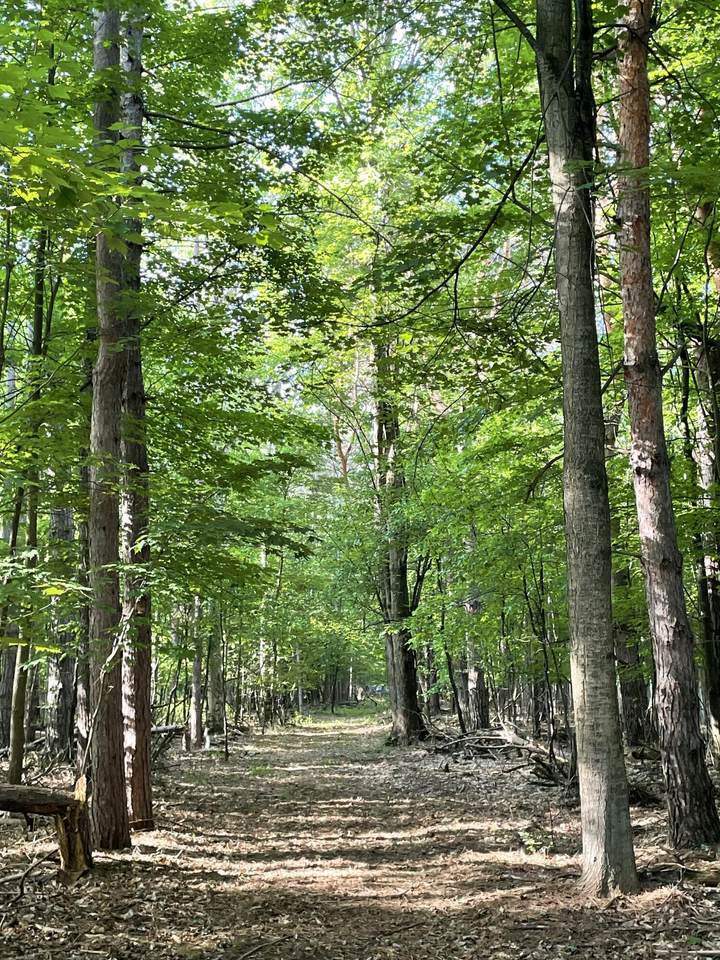  Mortimer Line Road - Photo 1