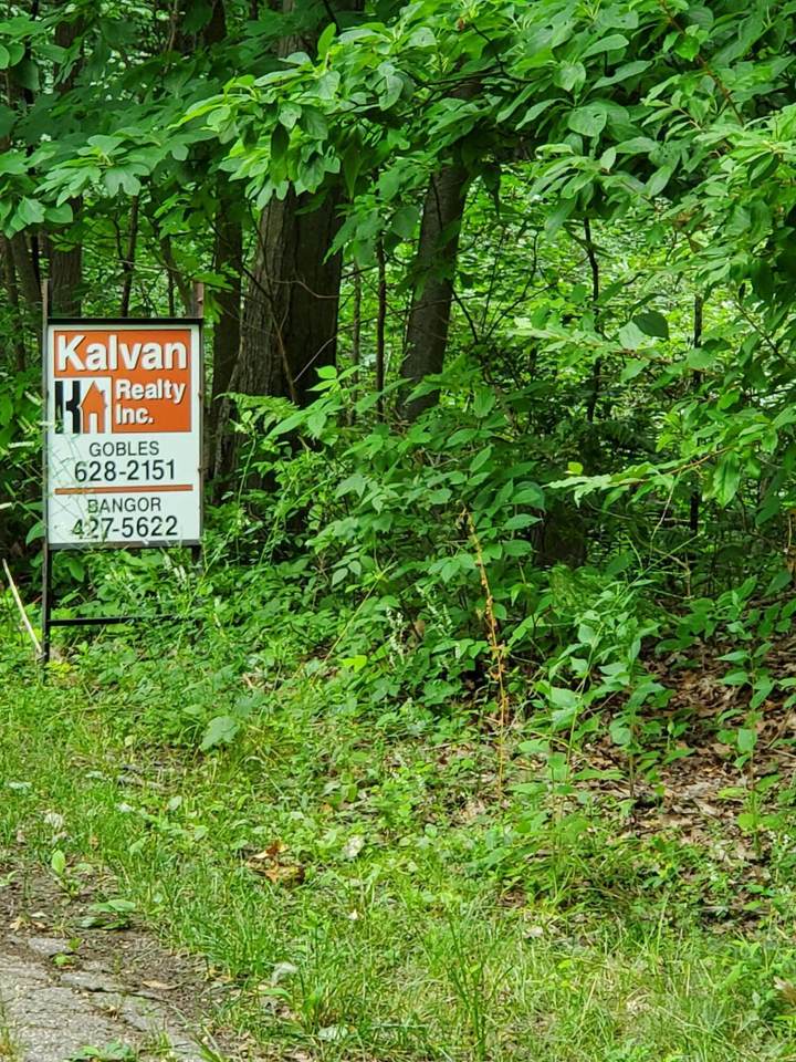 36200 Maier Street - Photo 1