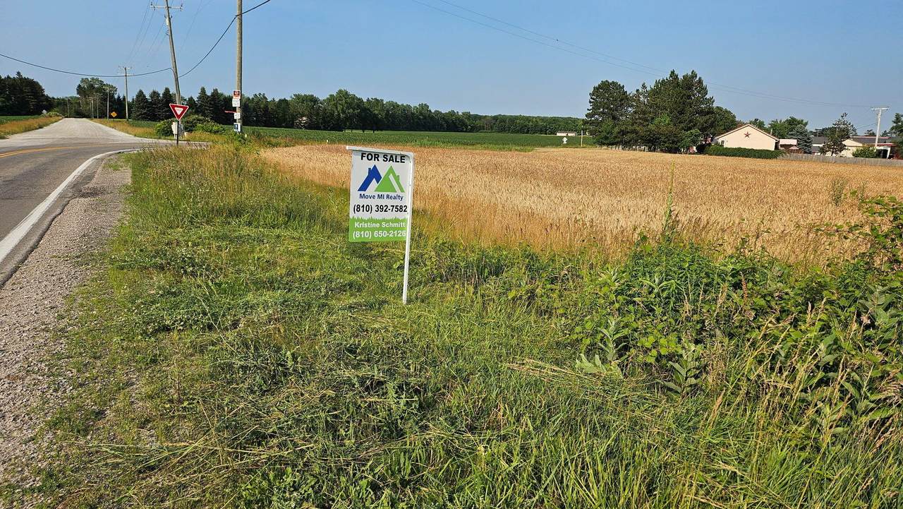 Wales Ridge Road - Photo 1