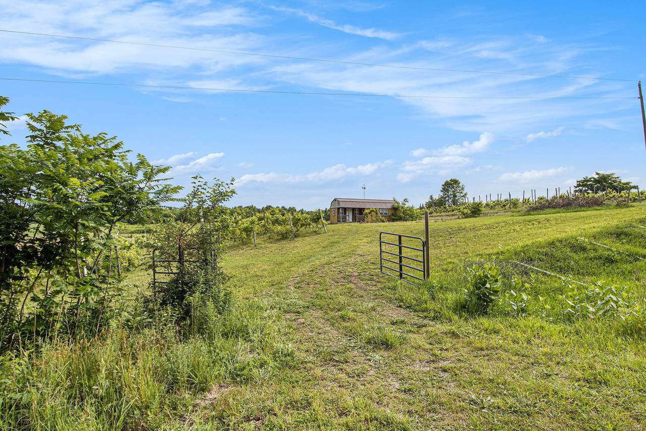 56278 County Road 365 - Photo 1