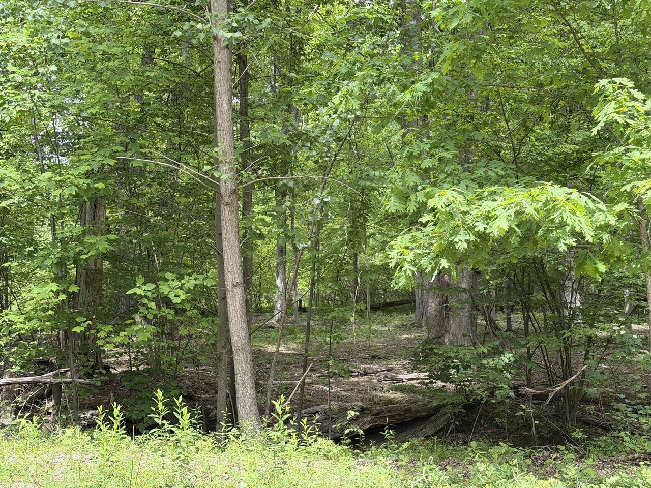 V/L National Parkway - Photo 1