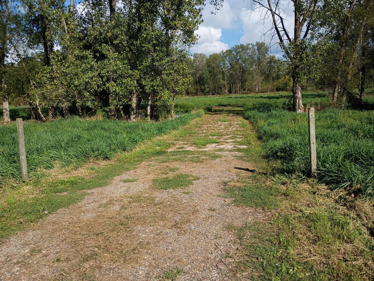 V/L 60 1/2 Street - Photo 1