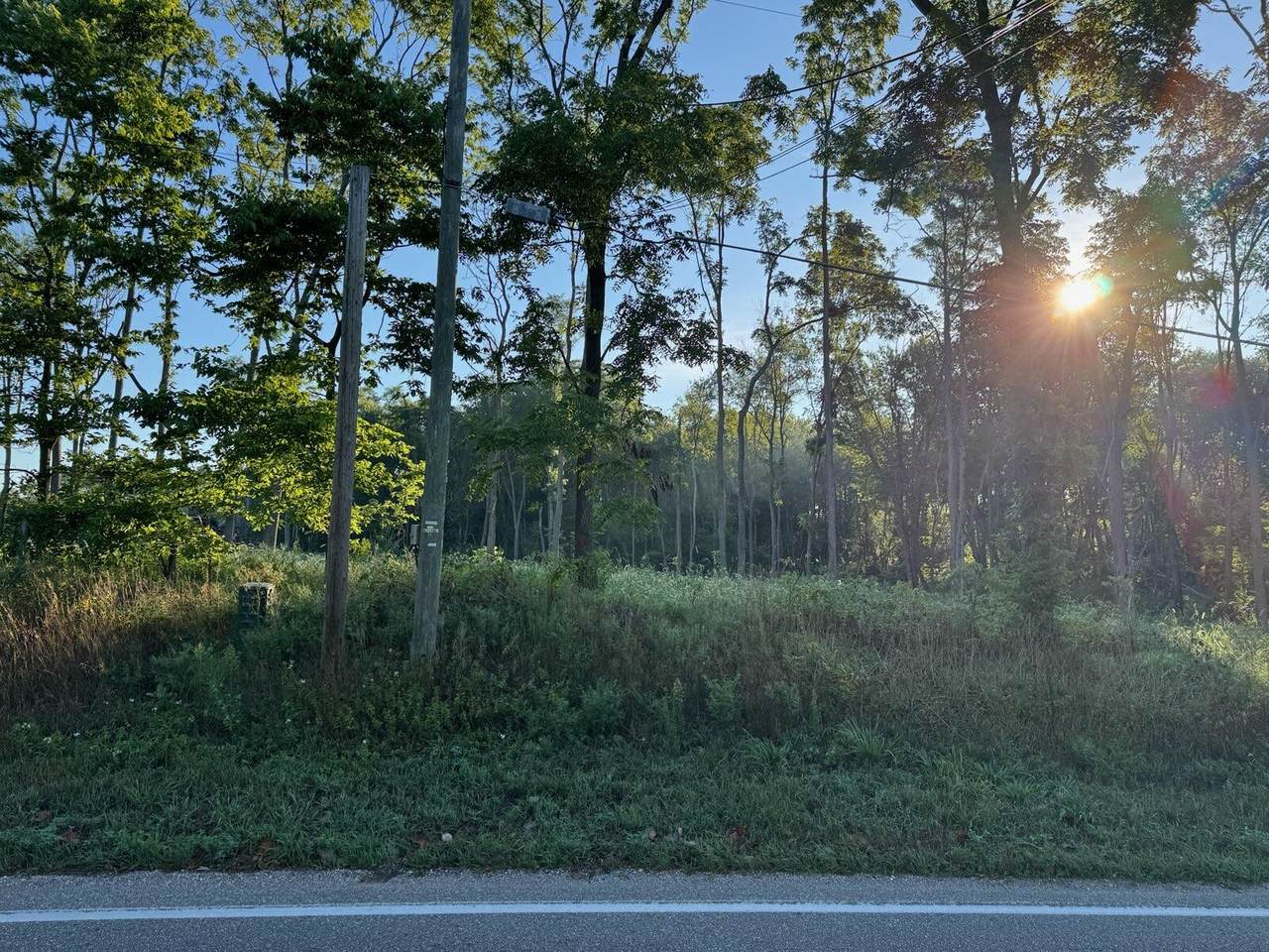 Tract 4 Dailey Rd - Photo 1