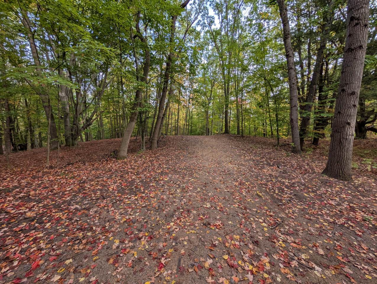 V/L Kissing Oaks Trail - Photo 1