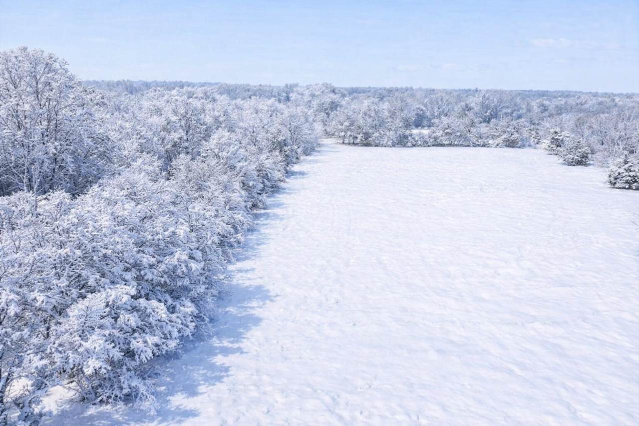 41908 48th Avenue - Photo 1