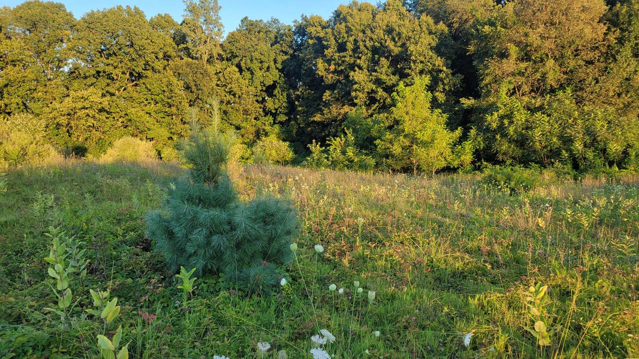 44702 56th Avenue - Photo 1