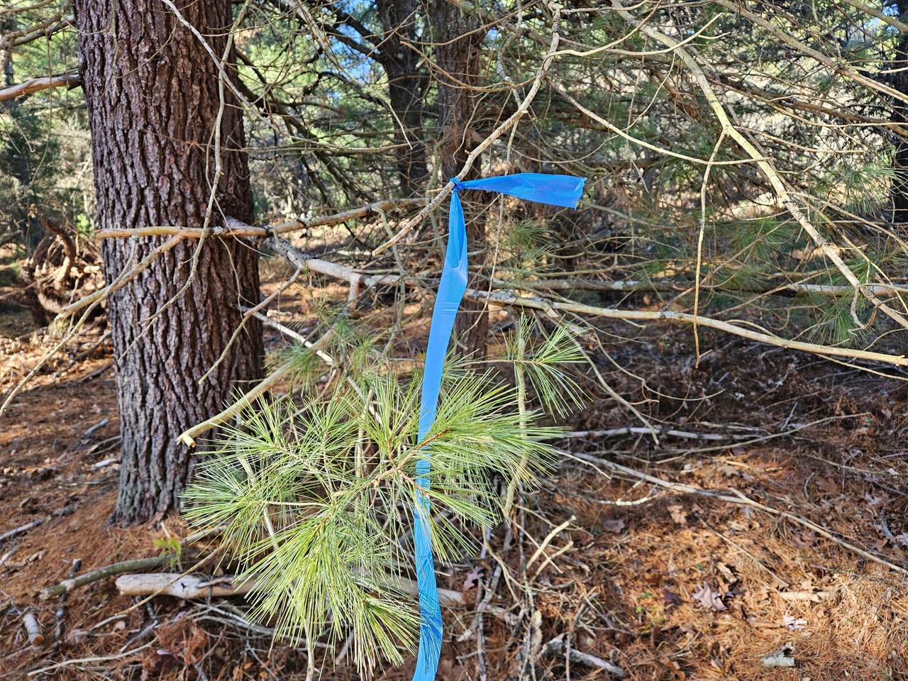 Parcel O Tatanka Trail - Photo 1