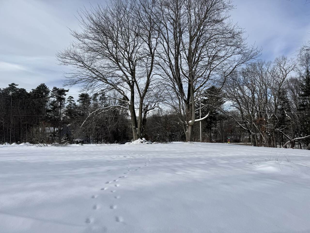 6593 134th Avenue - Photo 1