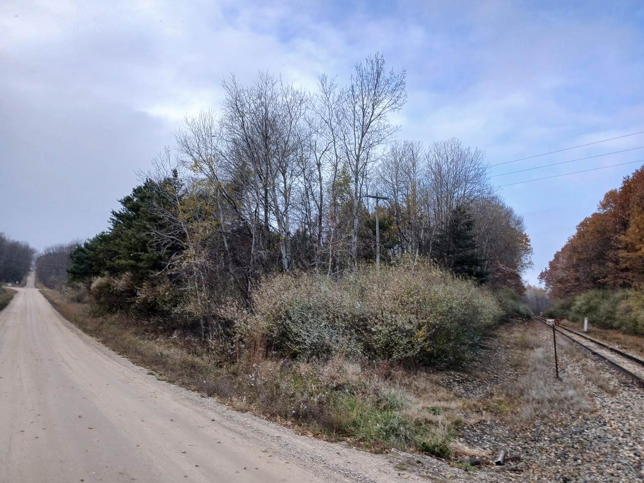  Beyer Road - Photo 1