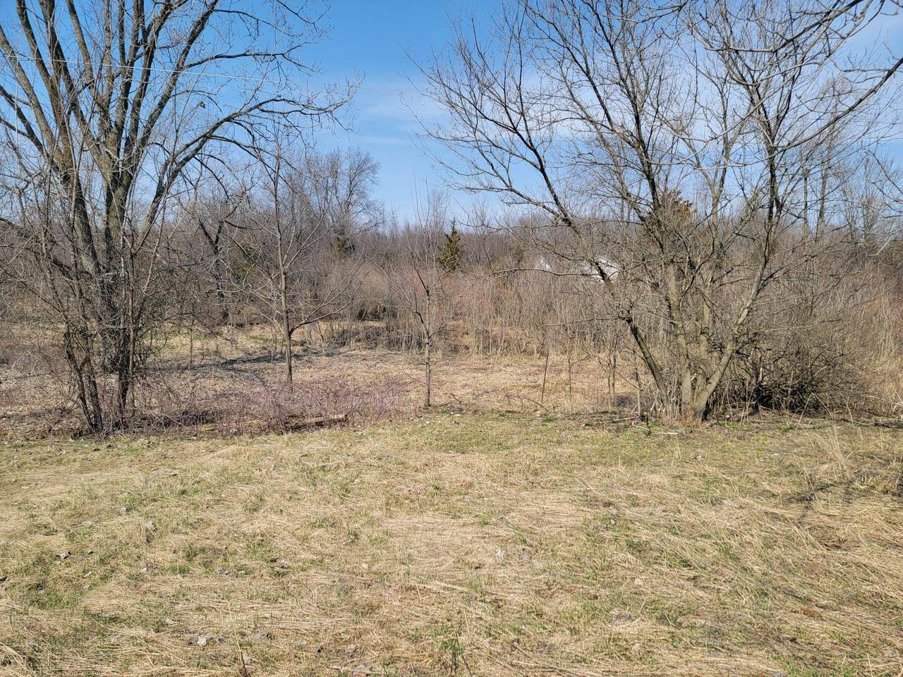 575 135th Avenue - Photo 1