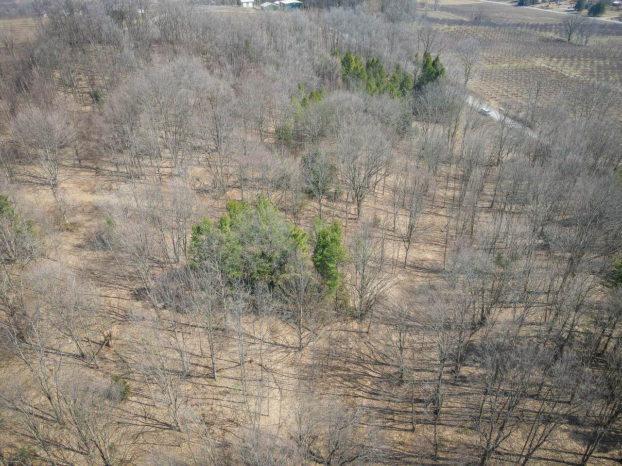 https://bt-photos.global.ssl.fastly.net/swmich/1280_boomver_2_25062185-2.jpg