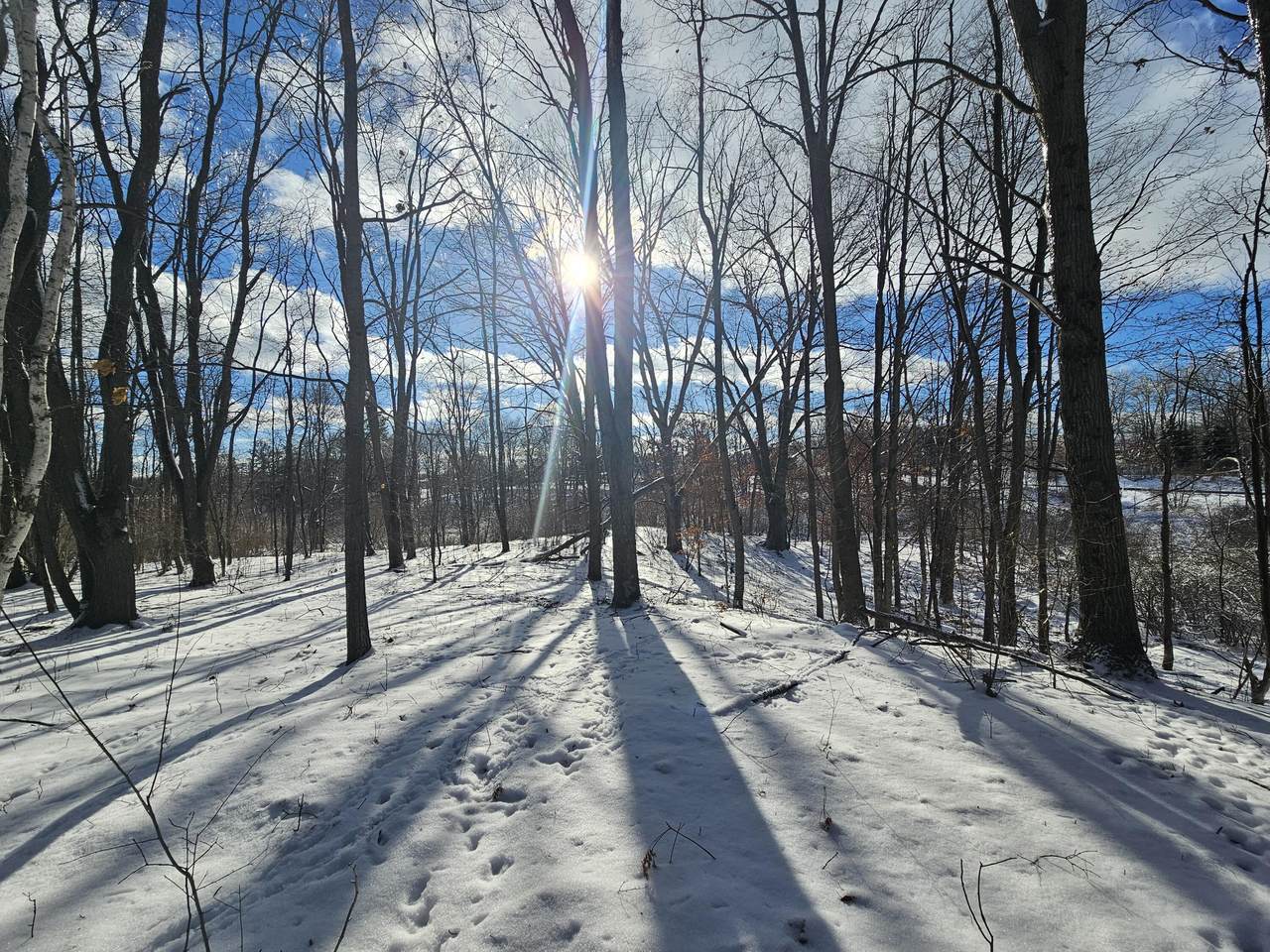 https://bt-photos.global.ssl.fastly.net/swmich/1280_boomver_2_26000336-2.jpg