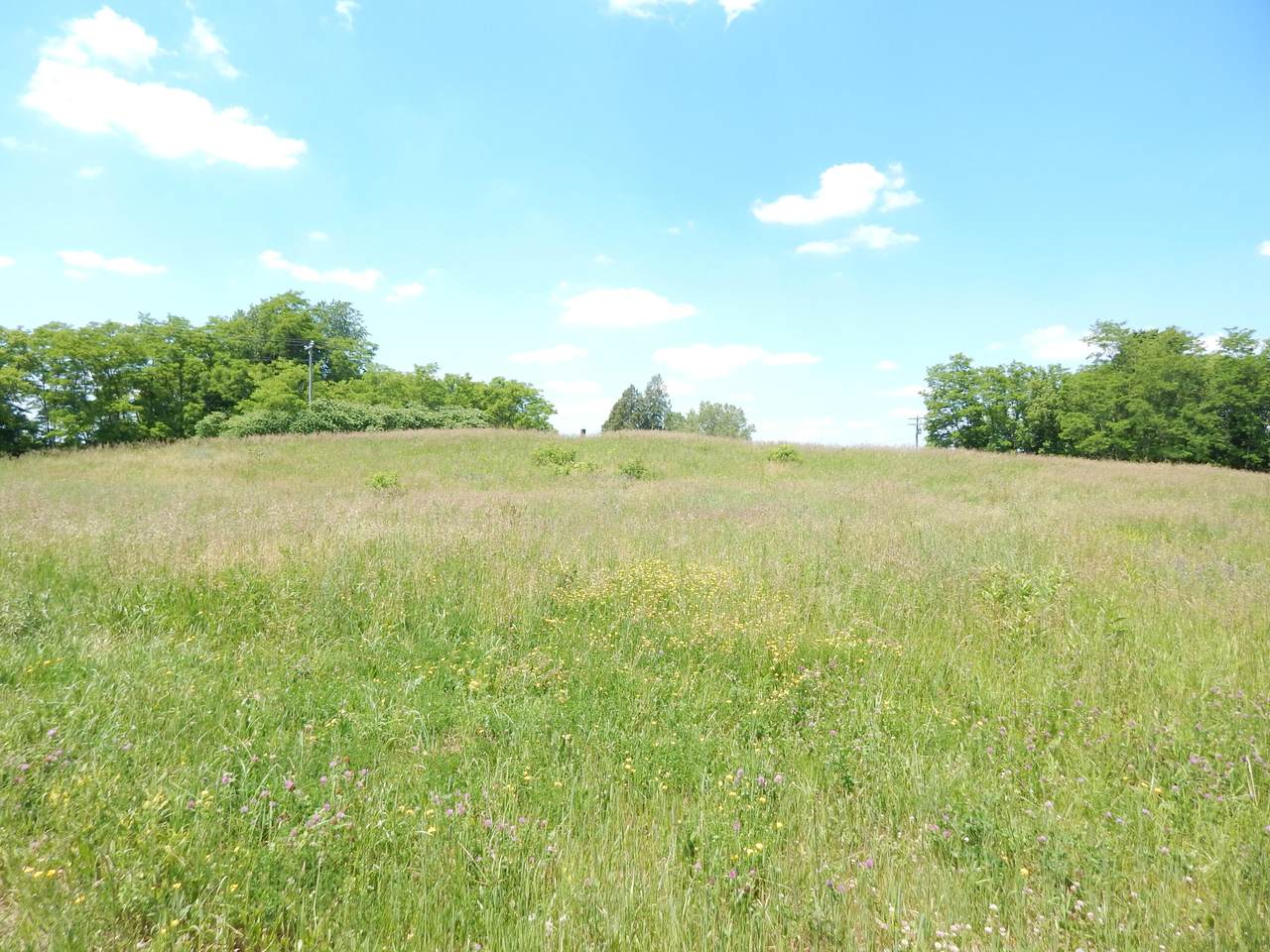 https://bt-photos.global.ssl.fastly.net/swmich/1280_boomver_2_26000616-2.jpg